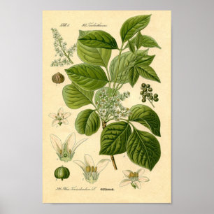 Skriv ut på stationen i Poison Ivy Poster
