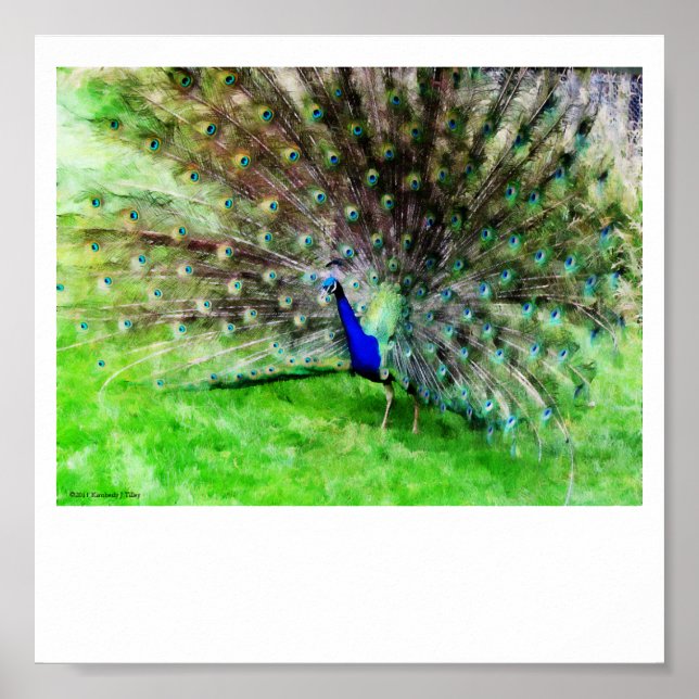 Skriv ut på Visning Poster (Framsidan)