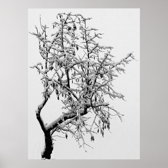 Skriv ut på Winter Träd Poster (Framsidan)