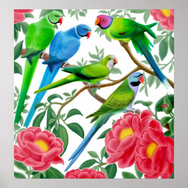Skriv ut parakeets & Peonies Poster (Framsidan)