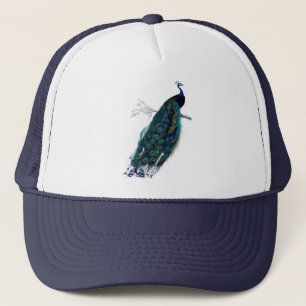 Skriv ut peacock för antikk naturhistorik keps