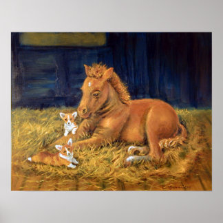 Skriv ut Pembroke Welsh Corgi Wall Poster