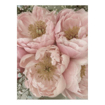 SKRIV UT | Peonies I - 24 tum x 32 tum