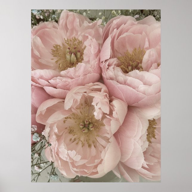 SKRIV UT | Peonies I - 24 tum x 32 tum Poster (Framsidan)
