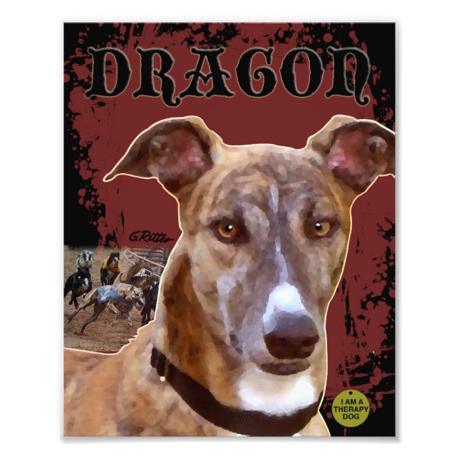 Skriv ut Pet Greyhound Fototryck (Framsidan)