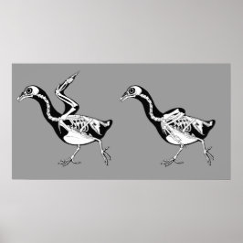 Skriv ut Pigeon Skeletals Poster