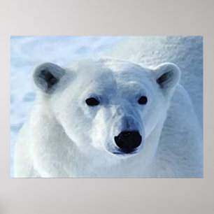 Skriv ut polar poster