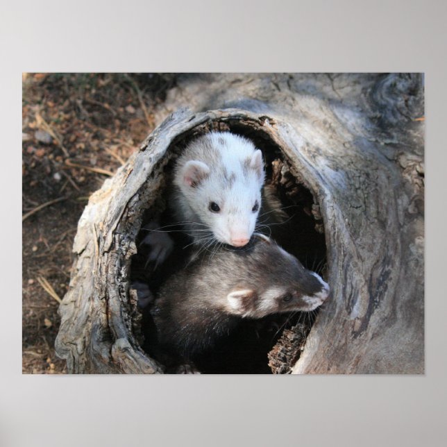 Skriv ut poster (Framsidan)