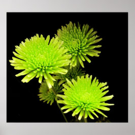 Skriv ut/Poster grönt Flowers Poster
