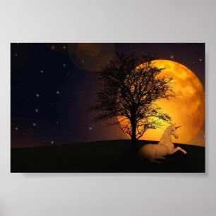 Skriv ut, Poster Pappert (projektionsyta)