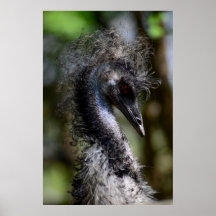 Skriv ut, Poster Pappert (projektionsyta)