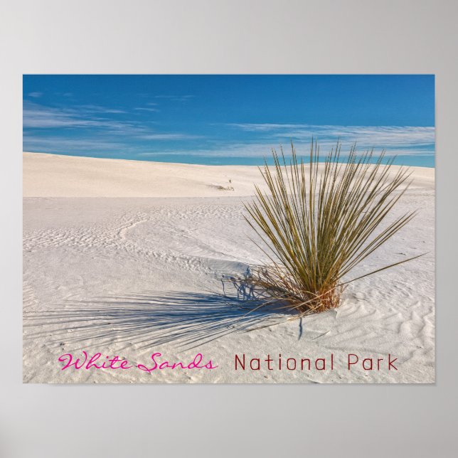 Skriv ut, Poster Pappert (projektionsyta) (Framsidan)