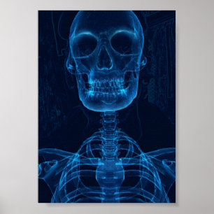 Skriv ut, Poster Pappert (projektionsyta)