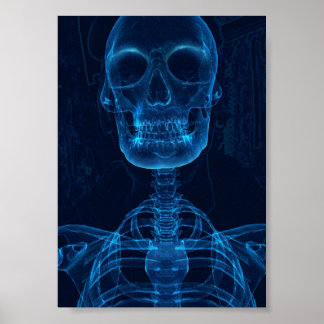 Skriv ut, Poster Pappert (projektionsyta)