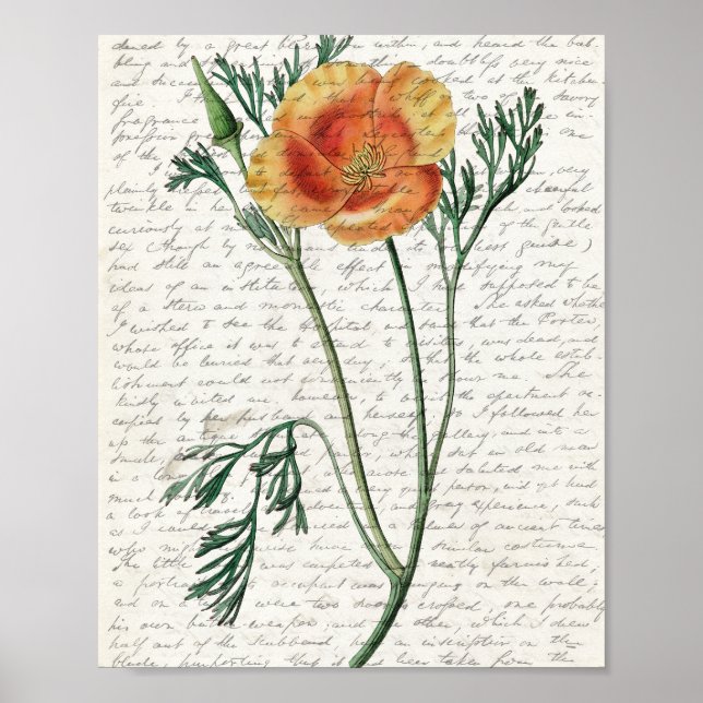 Skriv ut, Poster Pappert (projektionsyta) (Framsidan)