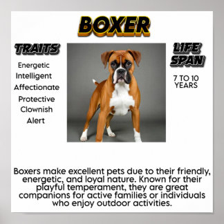 Skriv ut, Poster Pappert (projektionsyta)