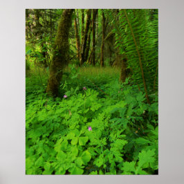 Skriv ut, Poster Pappert (projektionsyta)