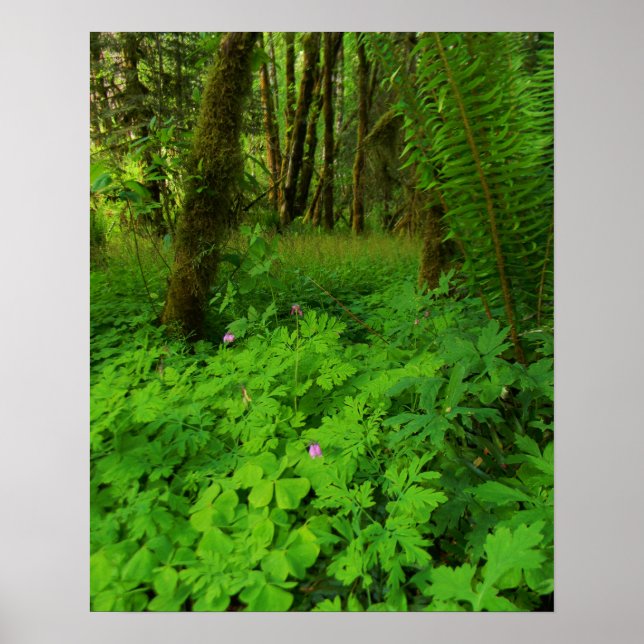 Skriv ut, Poster Pappert (projektionsyta) (Framsidan)