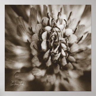 Skriv ut, Poster Pappert (projektionsyta)