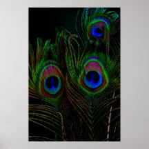 Skriv ut, Poster Pappert (projektionsyta)