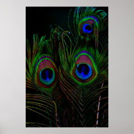 Skriv ut, Poster Pappert (projektionsyta)