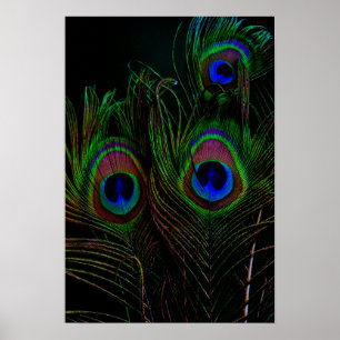 Skriv ut, Poster Pappert (projektionsyta)