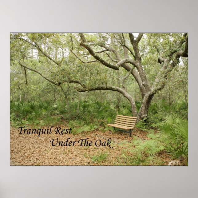 Skriv ut, Poster Pappert (projektionsyta) (Framsidan)