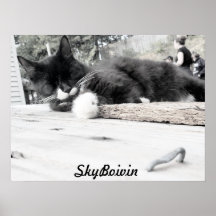 Skriv ut, Poster Pappert (projektionsyta)