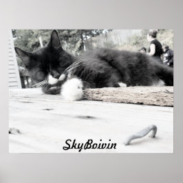 Skriv ut, Poster Pappert (projektionsyta)