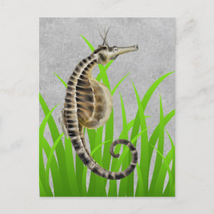 Skriv ut Pot Bellzed Sea Horse Animal Vykort