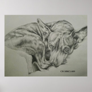 Skriv ut, projektionsyta )MEET SAM av CR Sinclair Poster