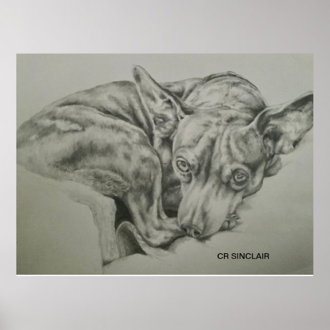 Skriv ut, projektionsyta )MEET SAM av CR Sinclair Poster (Framsidan)