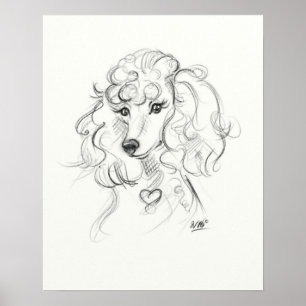 Skriv ut Pudel  Skiss Art Poster