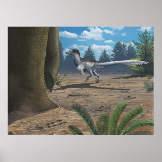 Skriv ut Raportspår Poster