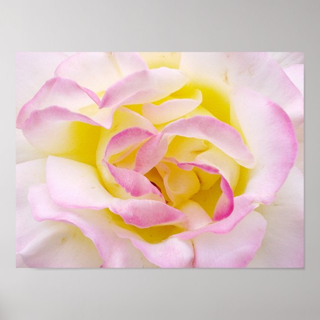 Skriv ut ro poster (Framsidan)