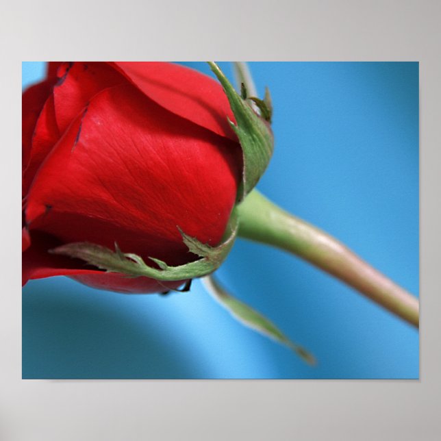 Skriv ut ro poster (Framsidan)