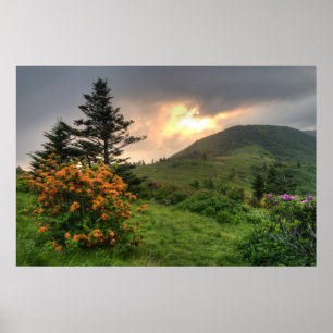 Skriv ut Roan Mountain Art Poster
