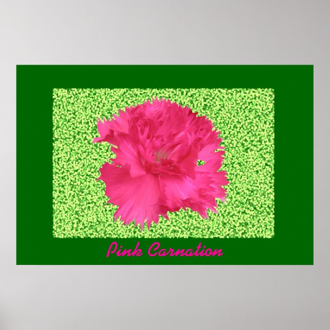 Skriv ut rosa Carnation Poster (Framsidan)