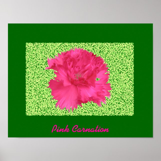 Skriv ut rosa Carnation Poster (Framsidan)