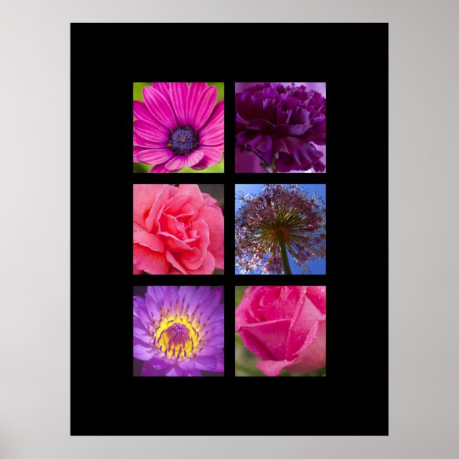 Skriv ut - Rosa och Lila blommor Poster (Framsidan)