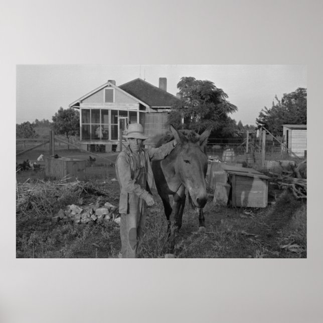 Skriv ut säkerhetsadministration för vintage Farm Poster (Framsidan)