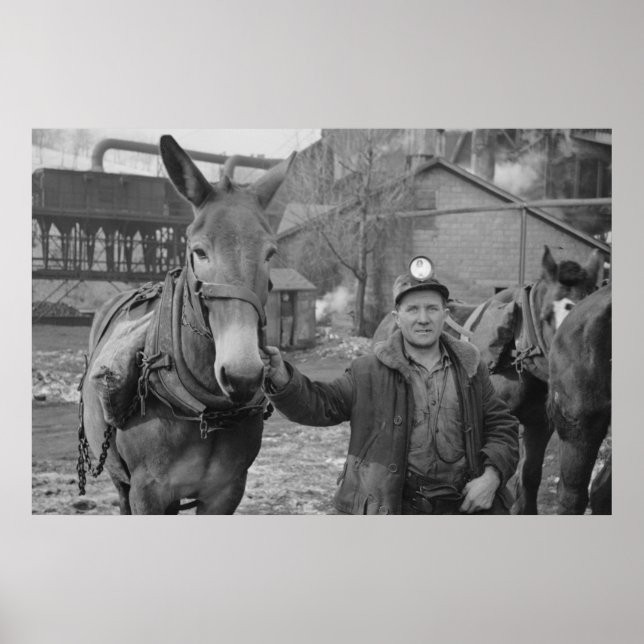 Skriv ut säkerhetsadministration för vintage Farm Poster (Framsidan)