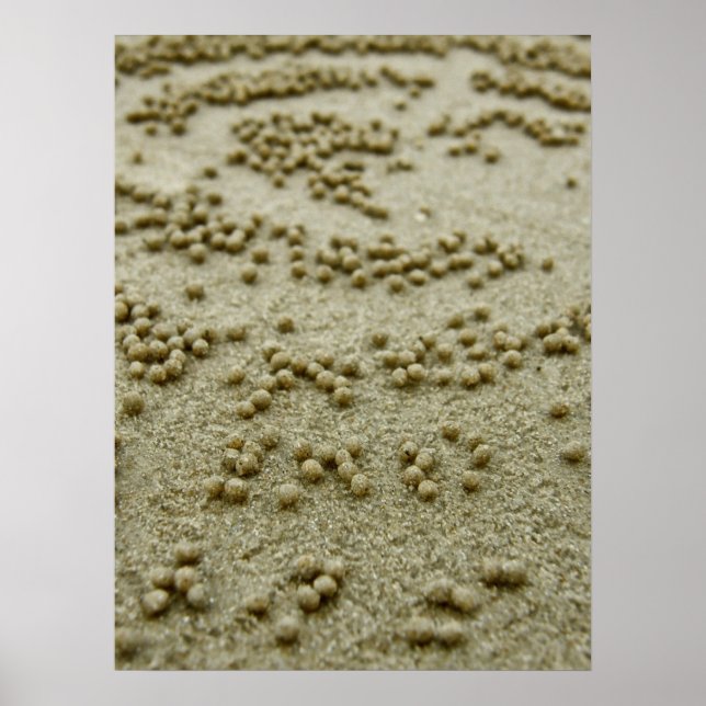 Skriv ut segment för visning poster (Framsidan)