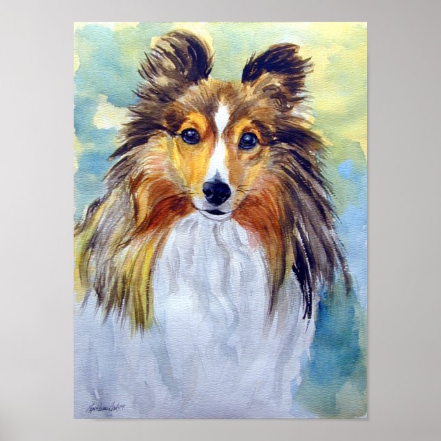Skriv ut Shetland Sheepdog Wall Poster (Framsidan)