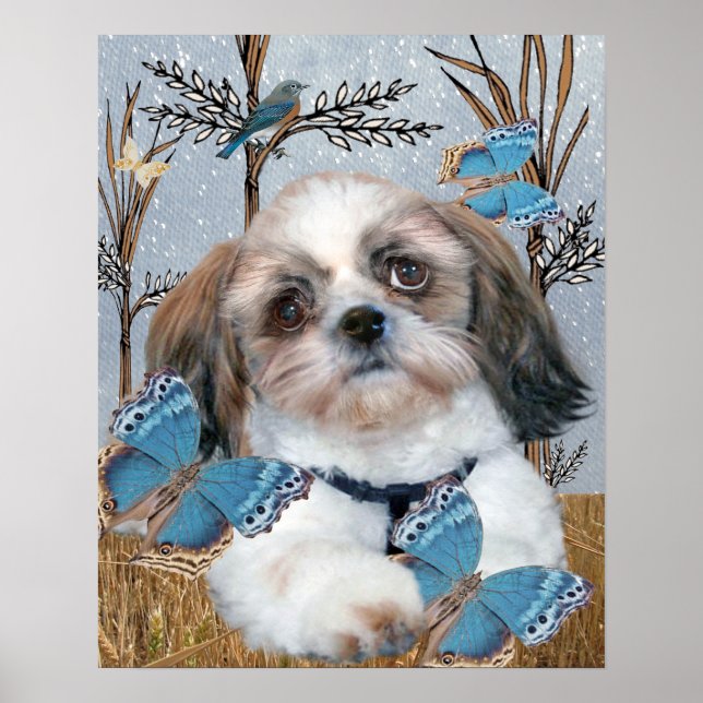 Skriv ut Shih Tzu och Butterflies Poster (Framsidan)