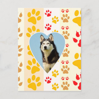 Skriv ut siberian husky Hund Heart Tassar Vykort