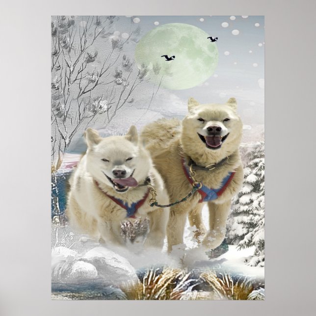 Skriv ut siberian husky Winter-scenen Poster (Framsidan)