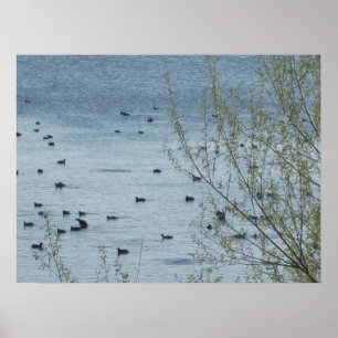 Skriv ut sjö poster