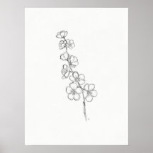 Skriv ut skiss över Cherry Blommar