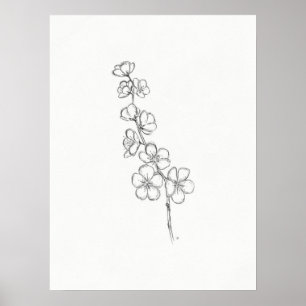 Skriv ut skiss över Cherry Blommar Poster